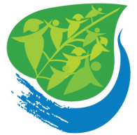 Colaborador 1
